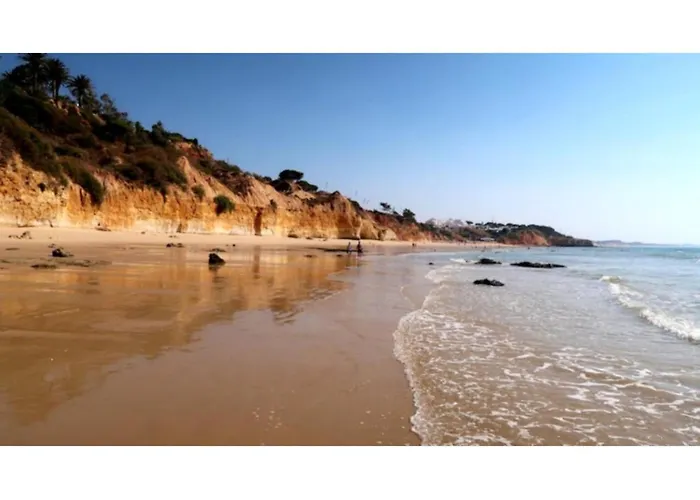 Ivone - Sunny Way By Interhome Apartment